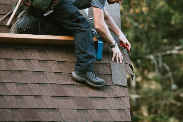 Best Roof Moss and Algae Removal  in West Ocean City, MD